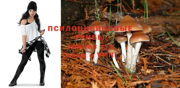 spice Зеленокумск