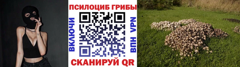 Галлюциногенные грибы Cubensis сколько стоит Цоци-Юрт
